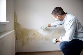 Biohazard Mold Removal in Manchester, NH